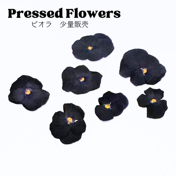 ハンドメイドビオラ