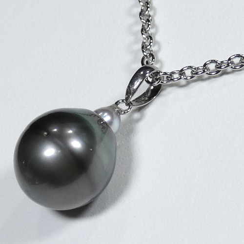 希少大珠タヒチ黒蝶真珠タヒチプラチナペンダントップ 希少大珠タヒチ黒蝶真珠タヒチプラチナペンダントップ 楽天市場