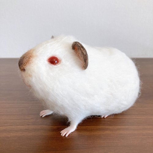 モルモット オーダー 2体 人形 羊毛フェルト 羊毛フェルト cotta 通販