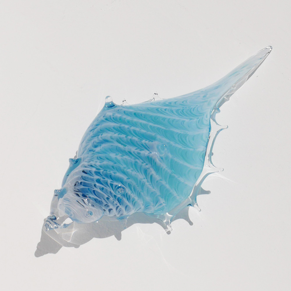 アクアブルー貝殻のガラスの入れ物：シェルの器