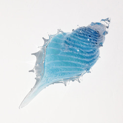 アクアブルー貝殻のガラスの入れ物：シェルの器 2枚目の画像