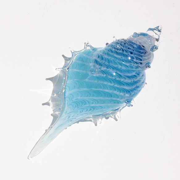 アクアブルー貝殻のガラスの入れ物：シェルの器 2枚目の画像