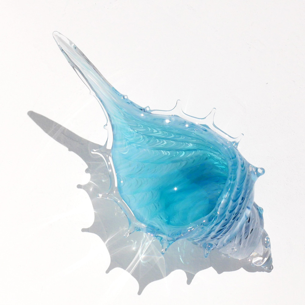 アクアブルー貝殻のガラスの入れ物：シェルの器