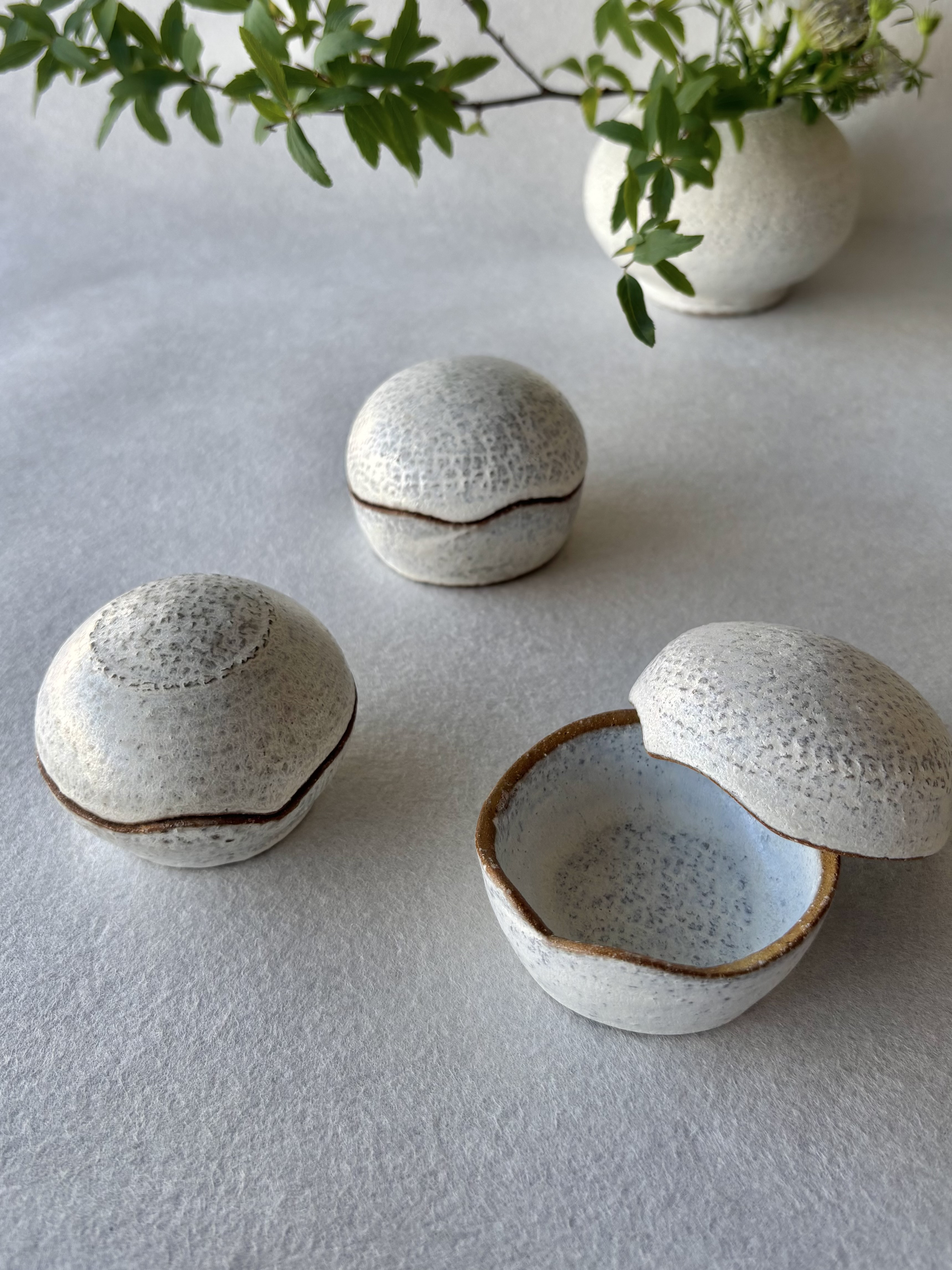 白釉　小丸蓋物〈大）Ｄ・Ｅ・Ｆ