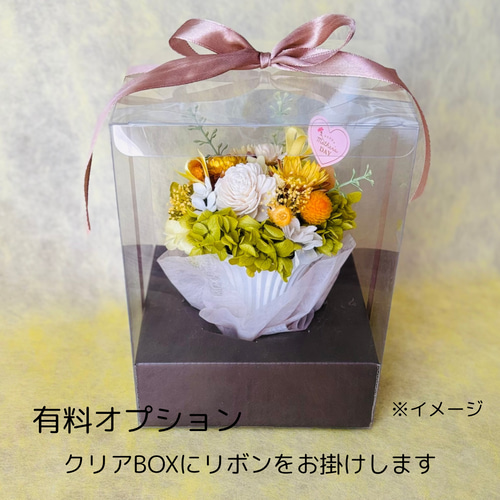 ギフト可】モコモコあじさいのコロンと可愛いカゴアレンジメント