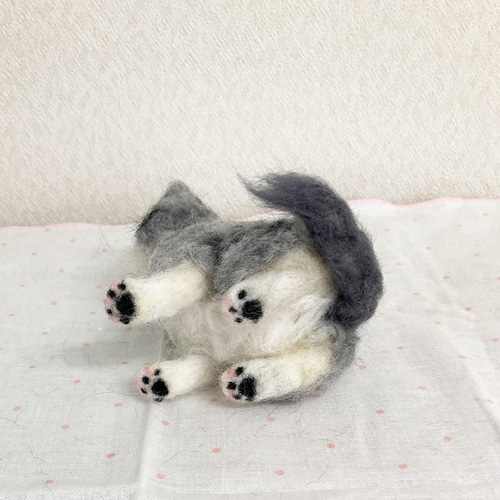 羊毛フェルト　猫(マンチカン) マンチカンの子猫＊羊毛フェルト＊猫＊子猫＊マンチカン＊ 羊毛