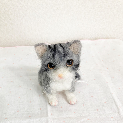 マンチカンの子猫＊羊毛フェルト＊猫＊子猫＊マンチカン＊ 羊毛