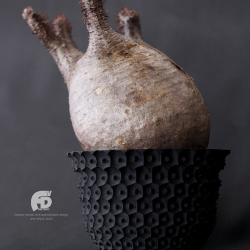 塊根植物 鉢 植木鉢 Adv-028 (130×86) Thorn Pot おしゃれ 多肉