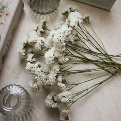 【JURI♡です♡】アンティーク　ドライフラワー　花材　#60 JURI♡です♡】アンティーク ドライフラワー 花材 #60 JURI♡です