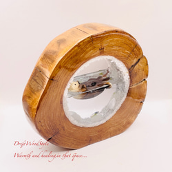 一つ限りの流木アート 海に浮かぶラッコ ジオラマ 流木 フィギュア 置物 インテリア レジン テラリウム 生き物 N30 9枚目の画像