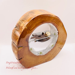 一つ限りの流木アート 海に浮かぶラッコ ジオラマ 流木 フィギュア 置物 インテリア レジン テラリウム 生き物 N30 4枚目の画像