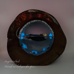 一つ限りの流木アート 海に浮かぶラッコ ジオラマ 流木 フィギュア 置物 インテリア レジン テラリウム 生き物 N30 2枚目の画像