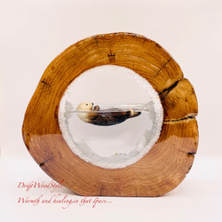 一つ限りの流木アート 海に浮かぶラッコ ジオラマ 流木 フィギュア 置物 インテリア レジン テラリウム 生き物 N30 6枚目の画像