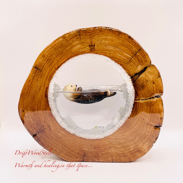 一つ限りの流木アート 海に浮かぶラッコ ジオラマ 流木 フィギュア 置物 インテリア レジン テラリウム 生き物 N30 6枚目の画像