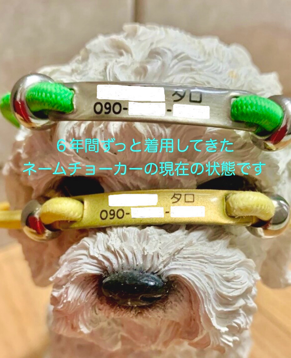 ６年間ずっと着用してきたネームチョーカーの現在の状態（参考画像）