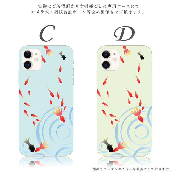  第4張的照片