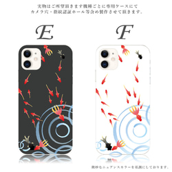  第5張的照片