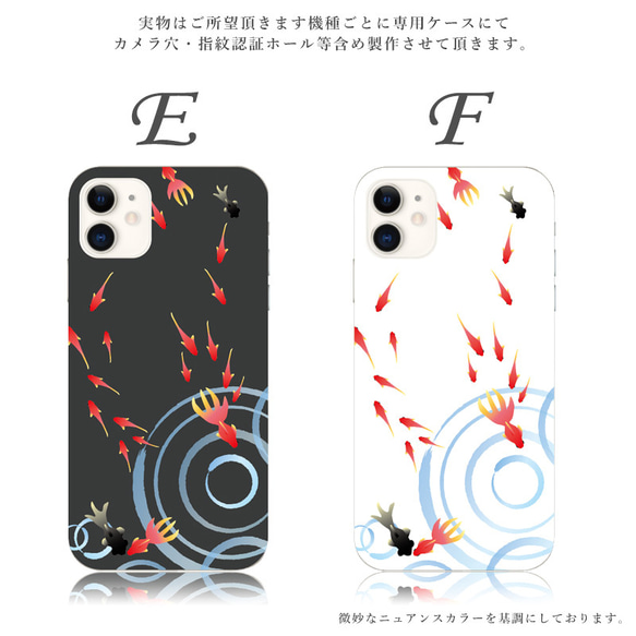  第5張的照片