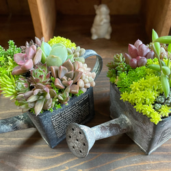 お返事まだかな♪」∮多肉植物の寄せ植え∮箱庭＊木箱プランター