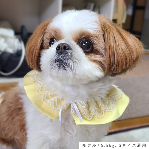 小型犬用まんまるスタイ/レース Sサイズ n-0196シリーズ ペット服