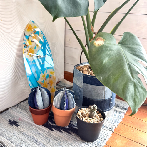 デニム サボテン インテリア 植物 その他インテリア雑貨
