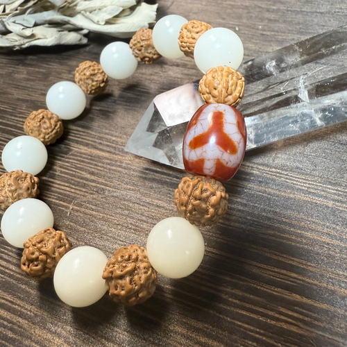 愛を育み、自分らしい輝きを育てる】菩提根☆菩提天珠☆菩提樹