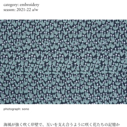  第8張的照片