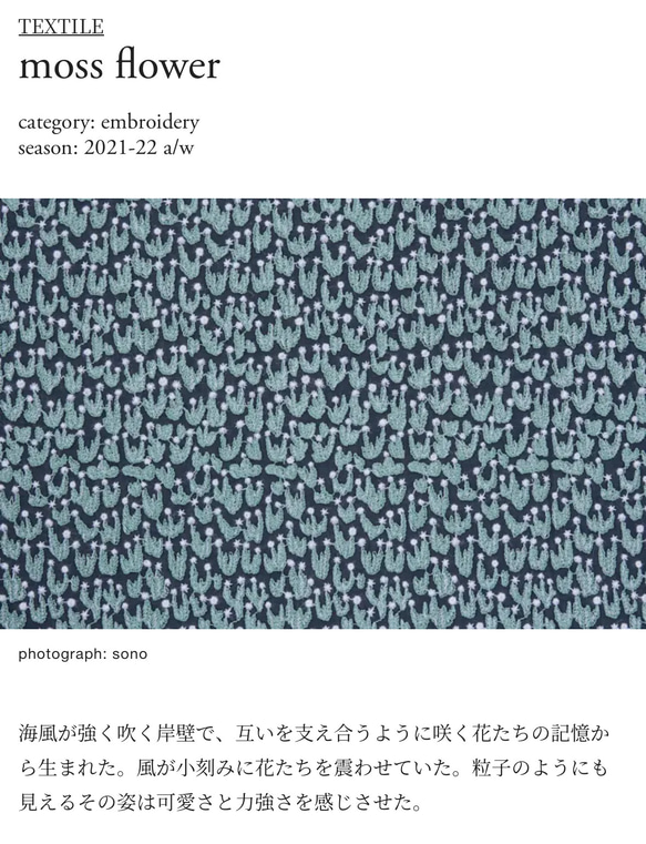  第8張的照片