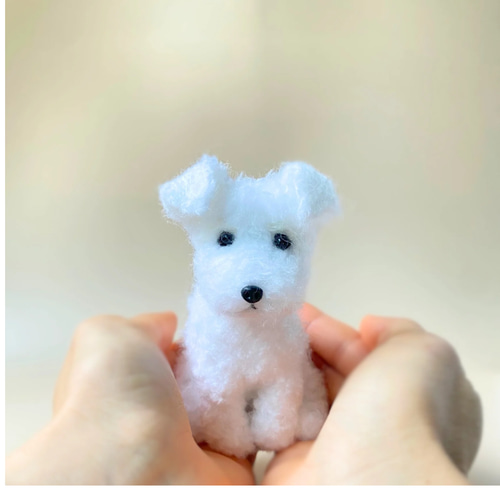 いつでもいっしょ♪ 小さなホワイトミニチュアシュナウザー 犬の