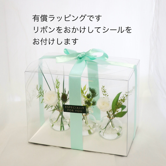 枯れない・水替え不要　ホワイトグリーン３連～マジカルウォーター　【Creema限定】 8枚目の画像