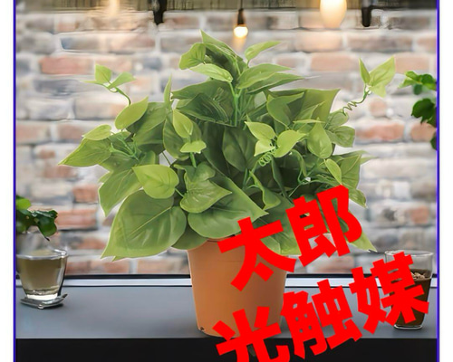 光触媒 人工観葉植物 ウォールグリーン フェイクグリーン ライムポトス