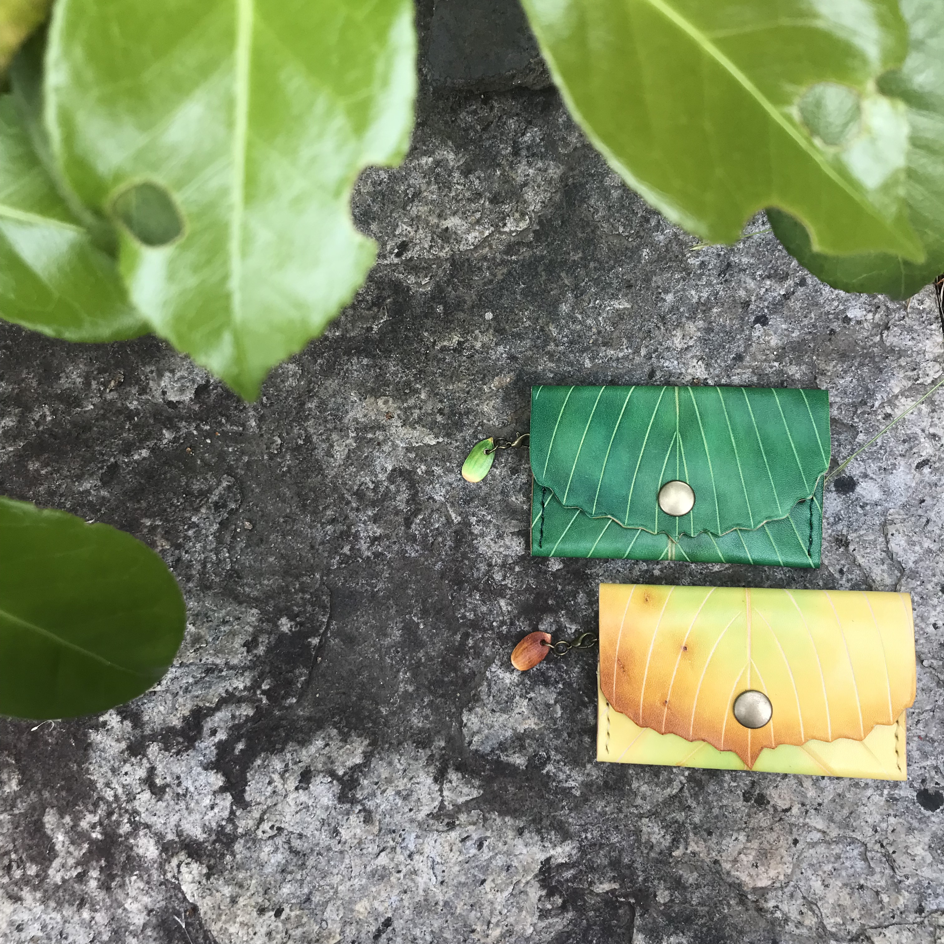 本革　葉っぱ　どんぐり　コナラ　ミニ　財布