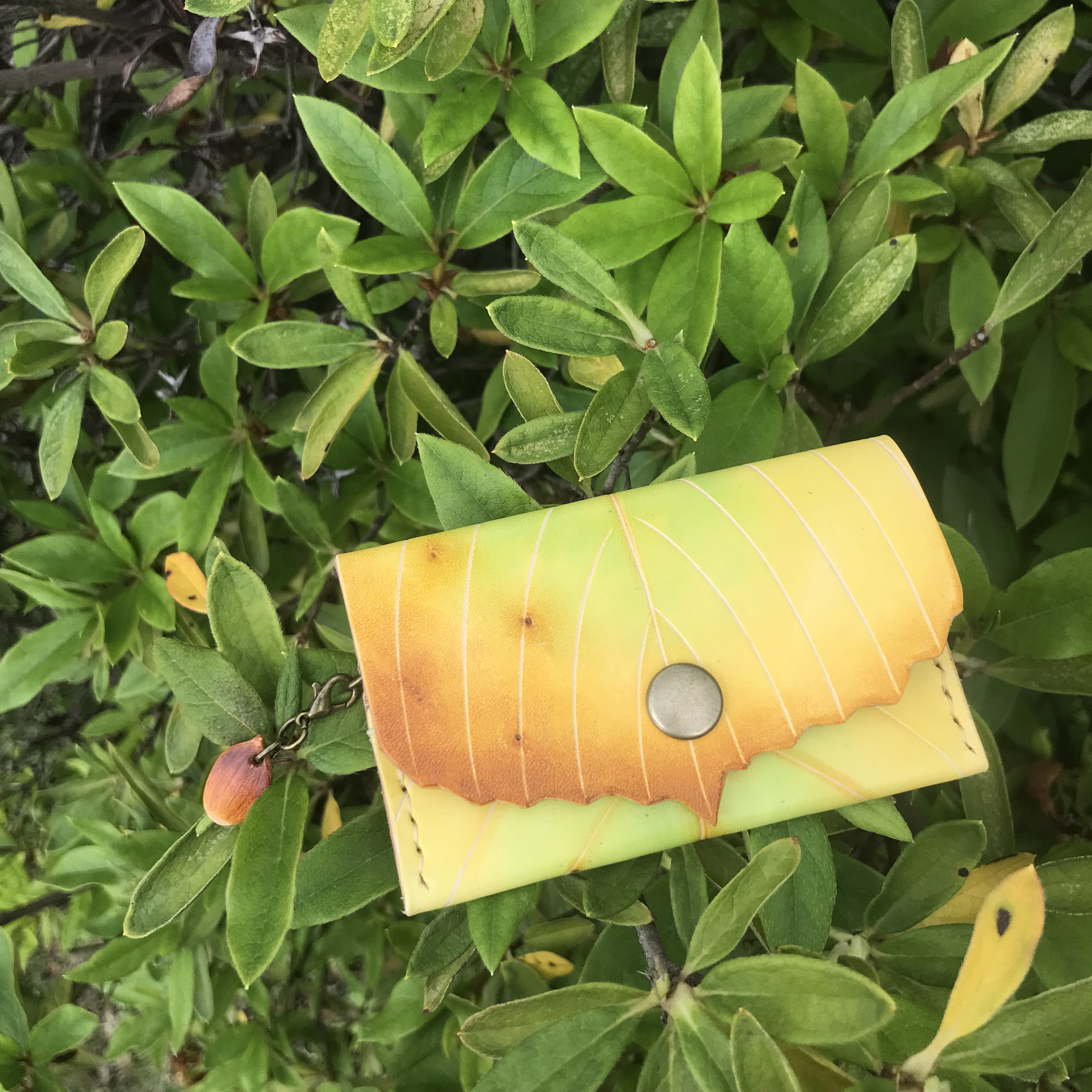 本革　葉っぱ　どんぐり　コナラ　ミニ　財布