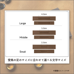 フクロウ用アンクレット　お名前等刻印できます　アンティークブラウン 3枚目の画像