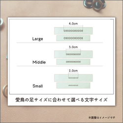 フクロウ用アンクレット　お名前等刻印できます　グレーホワイト 3枚目の画像