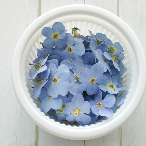 大きめ勿忘草＊ドライフラワー その他素材 雀雑貨店 通販 19303373