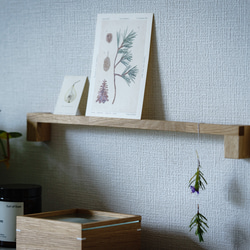 杉無垢材のCDディスプレイレール 6枚用 ウォールシェルフ CDラック