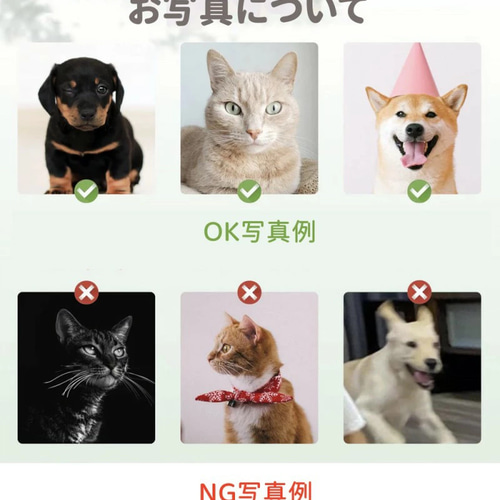 世界にひとつだけ♪オリジナル ブランケット タオルケット