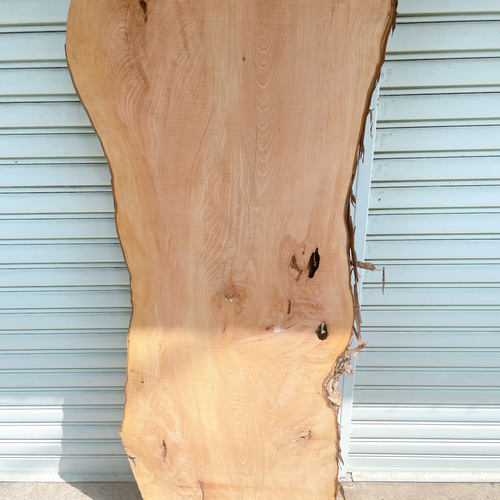 天然 イヌマキ DIY材 木材 天板 テレビ台 無垢材 カウンターテーブル