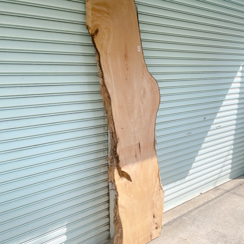 天然 イヌマキ DIY材 木材 天板 テレビ台 無垢材 カウンター