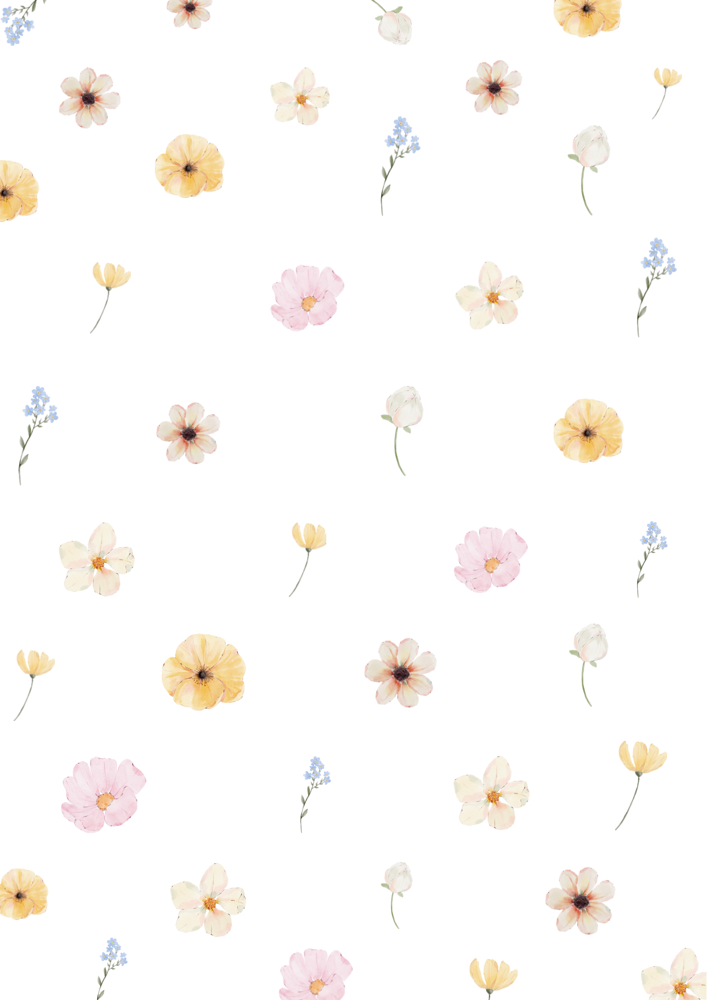 追加ご購入ページ