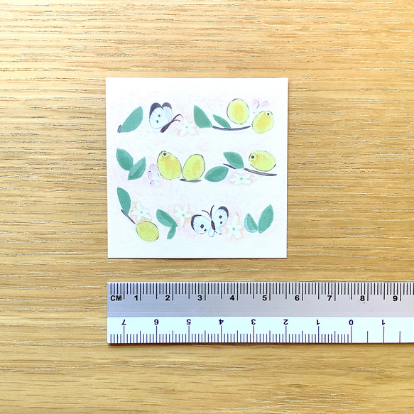 豆せん 〈はな〉 13枚目の画像