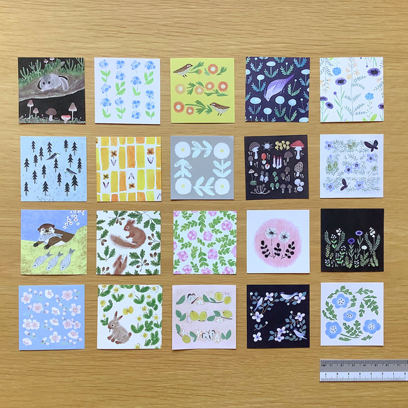 豆せん 〈はな〉 7枚目の画像