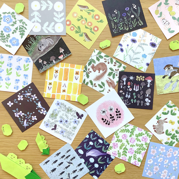 豆せん 〈はな〉 12枚目の画像