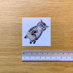豆せん 〈ねこ〉 16枚目の画像