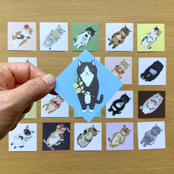 豆せん 〈ねこ〉 12枚目の画像
