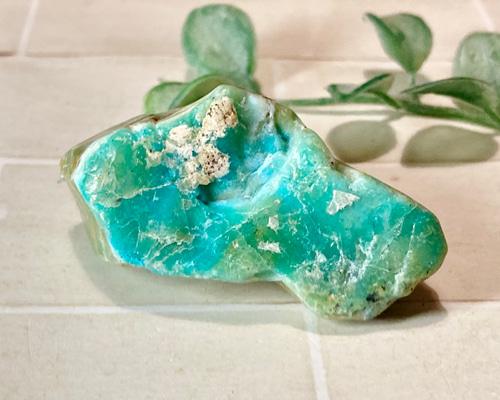 e736bc3acecc484c4c1805776563fc