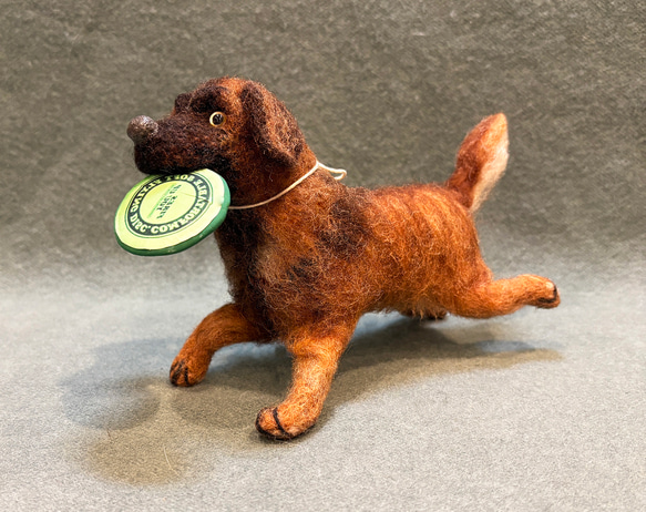 ピンシャー/シュナウザー他]レオンベルガー 羊毛フェルト dedeyoko