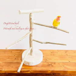 流木の止まり木  取り外しができる止まり木スタンド Mサイズ インコ オウム 鳥 バードスタンド パーチ N2 3枚目の画像