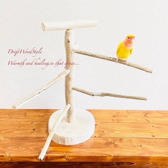 流木の止まり木  取り外しができる止まり木スタンド Mサイズ インコ オウム 鳥 バードスタンド パーチ N2 3枚目の画像